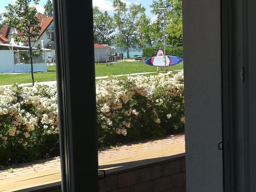 Zam�rdi Sir�ly Apartmanok