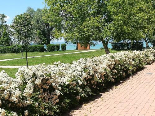 Zam�rdi Sir�ly Apartmanok
