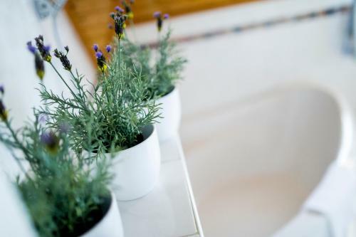 Gy?rfi Apartmanh�z Zam�rdi