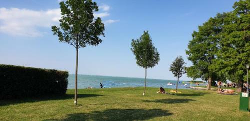 Apartamento Mila Home Zam�rdi - Fogas