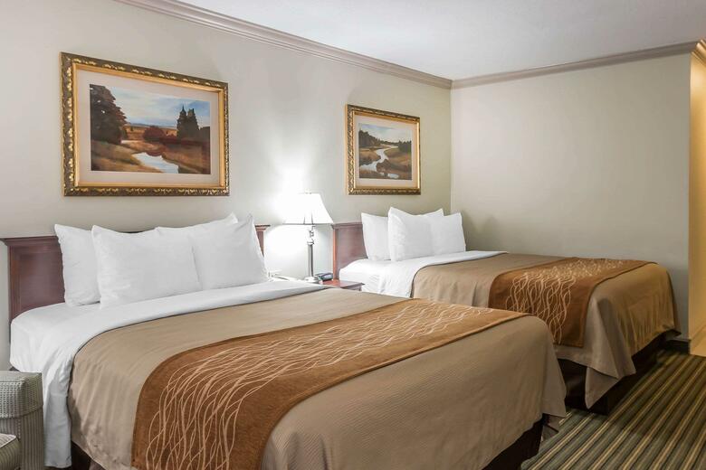 Hotel Comfort Inn Plainwell
