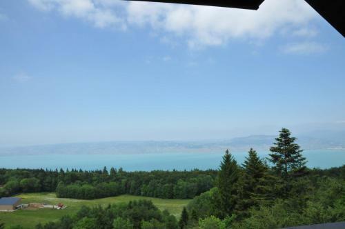 Apartamento Duplex Le Y�ti 16 Station Thollon Les M�mises