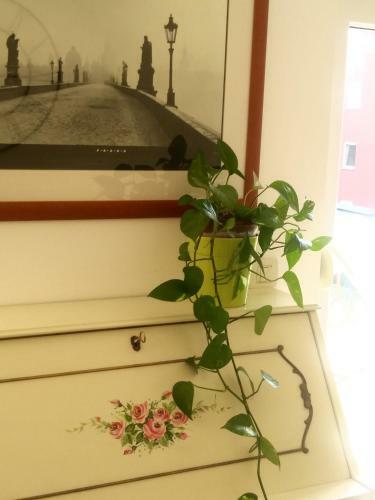 Apartamento Allegria