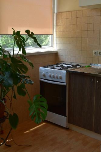 Vintage Apartment