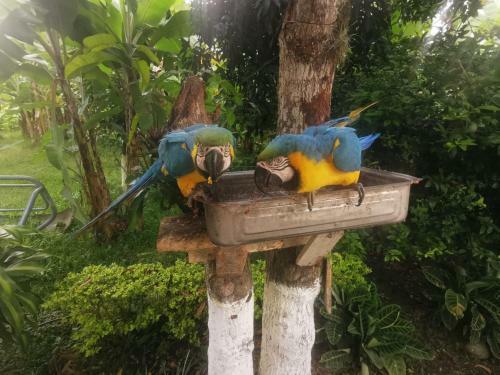 Monteverde Holiday Apartments