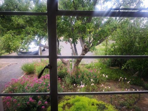 Apartamento Pa Se Engel Self Catering