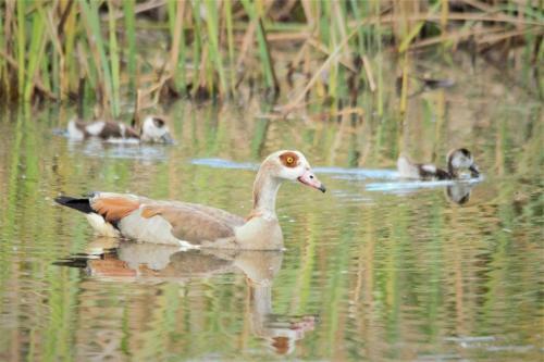 Klipfontein Rustic Farm & Camping