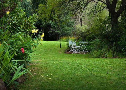 Lodge Birches Cottage & The Willows Garden Room