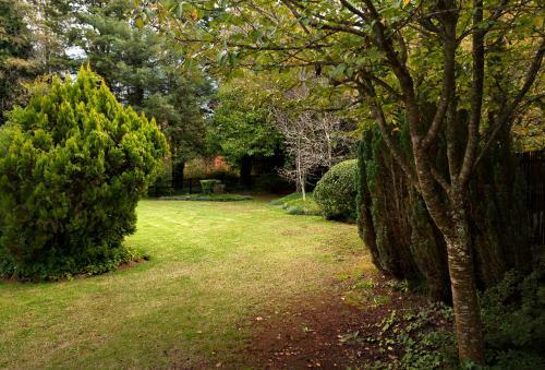 Lodge Birches Cottage & The Willows Garden Room
