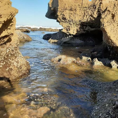 Apartamento Island Like Getaway On Umdloti Beach!