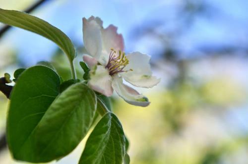 Villa Unique Stellenbosch