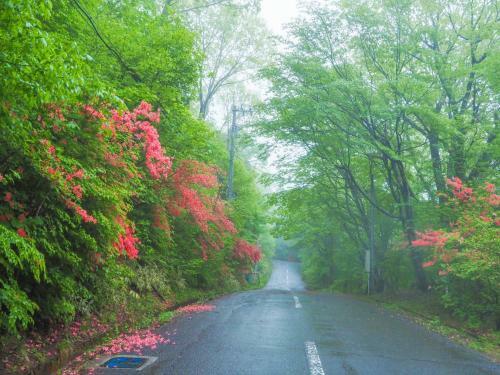 Hostal Nasu-gun - House - Vacation Stay 11442