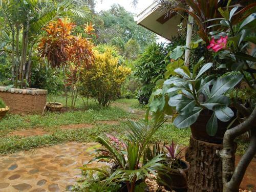 Hostal Jungle Flower Guest House