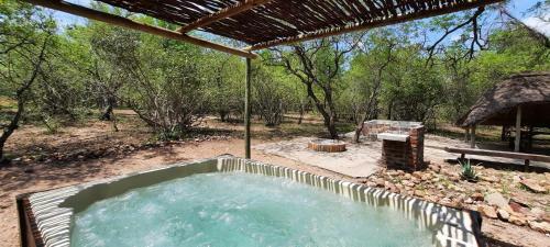 Olifant Bush House