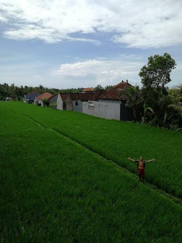 Hostal The Backyard House