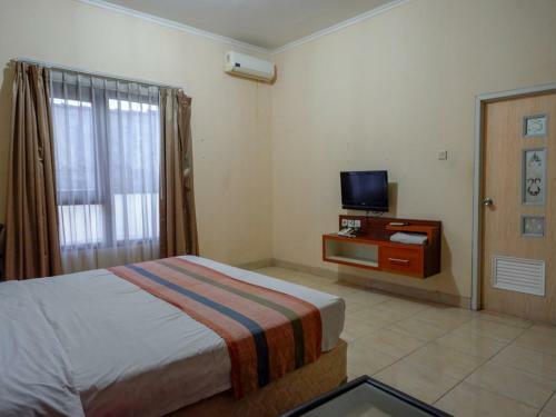 Hostal Pineapple Mansion Solo Redpartner