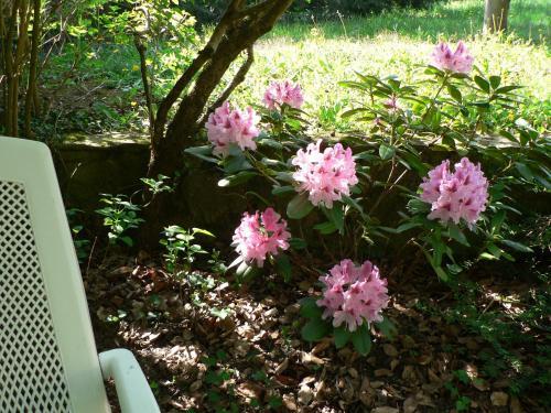 Bed & Breakfast Le Relais De St Jean