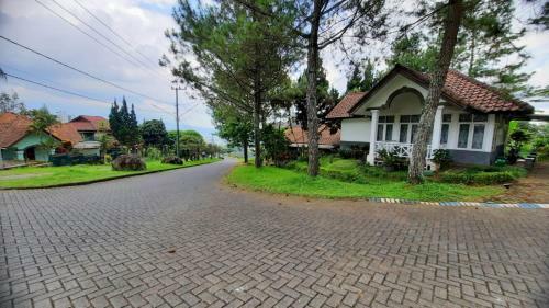 Villa Denisa