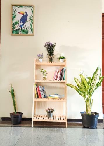 Hostal Green Surabaya Homey