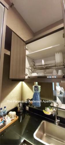 The Paneya@anderson Apartment