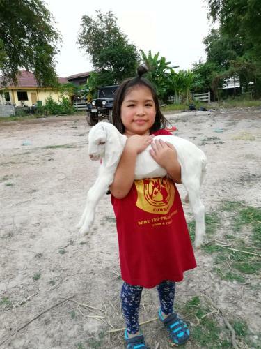 Hotel Dome Ing Prao Cowboy Home-stay