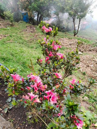 Villa Misbha Home Stay