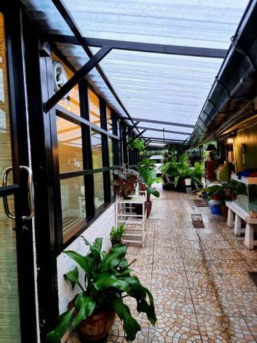 Hostal The One House