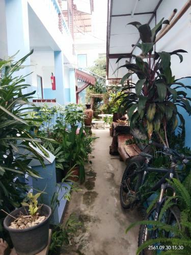 Hotel Blue House Pai