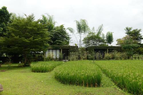 Hostal Love Pai Home