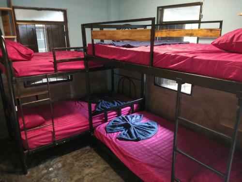Sunny Hostel Pai