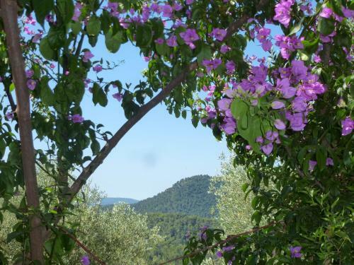Bed & Breakfast L'origane