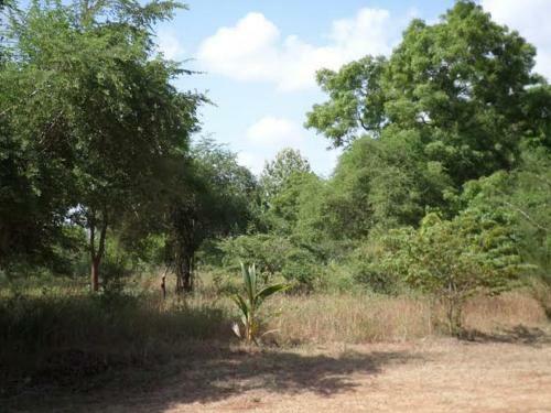 Hostal Dilsara Holiday Resort
