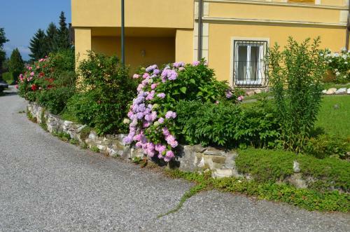 Apartamento Villa Wurzer