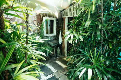 Hotel Rapture Surfcamps Padang-padang