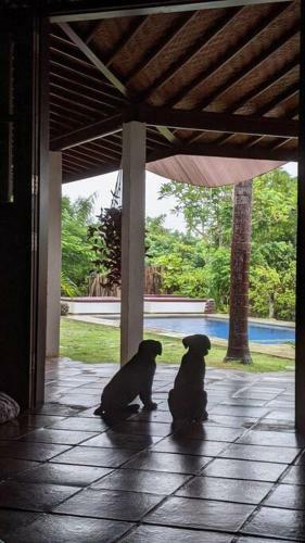 Uluwatu Surf Ranch - Lovely 4 Bedroom Villa