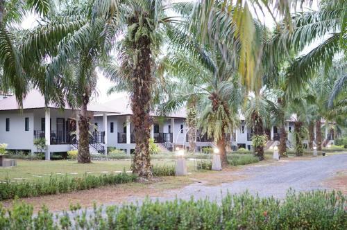 Hotel Palm Scenery Resort