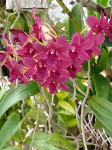 Hostal Khum Thong Resort