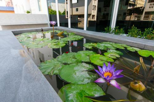 Hotel Matini Premium @ Klong 1