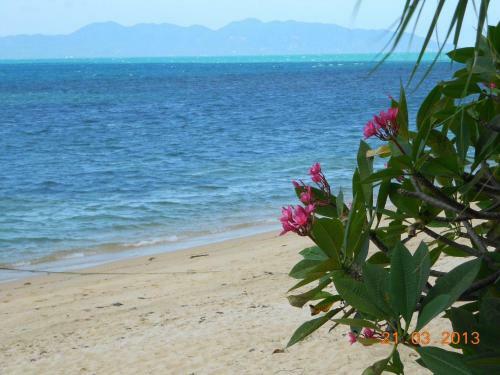 Royal Living Koh Samui - Wonderful Placed With Jacuzzi - Villa 5