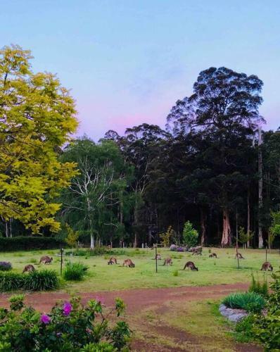Pemberton Forest View Retreat