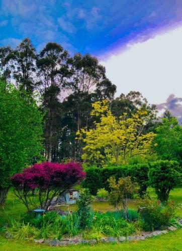 Pemberton Forest View Retreat