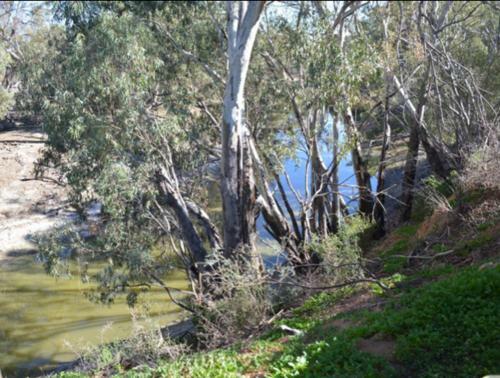 Wallies Cottage On The Darling