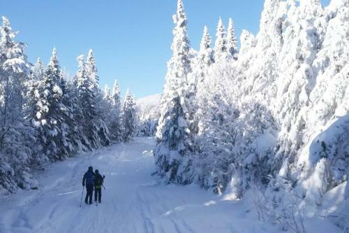 Apartamento Chalet de L'ours & Spa Citq 303216
