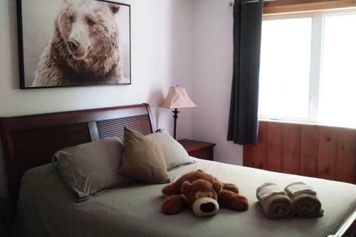 Apartamento Chalet de L'ours & Spa Citq 303216