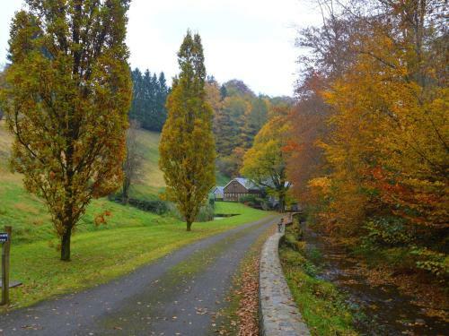 Luxurious Mill In Vresse-sur-semois With Swimming Pool