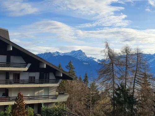 Apartamento Grand Et Confortable Studio Aux Portes Du Soleil