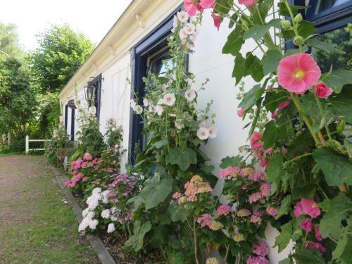 Bed & Breakfast Finisterre