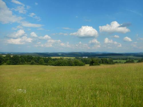 Hostal Ubytov�n� Ron?perk Pob??ovice