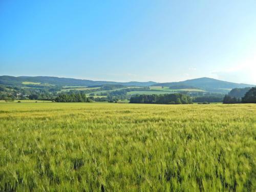 Hostal Ubytov�n� Ron?perk Pob??ovice