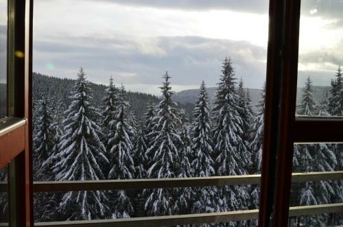 Apartm�n V Srdci Hor Cihl�?ka